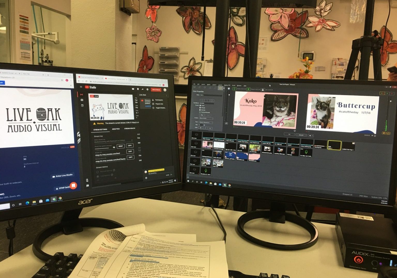 Livestream of Feral Cat Spay/Neuter Project