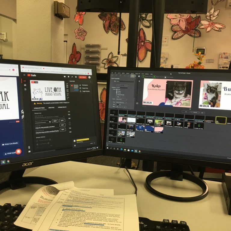 Livestream of Feral Cat Spay/Neuter Project