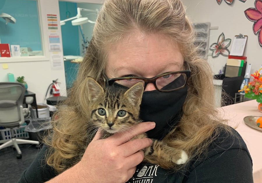Woman wearing glasses and a black face mask holds a small tabby kitten in an indoor office setting.