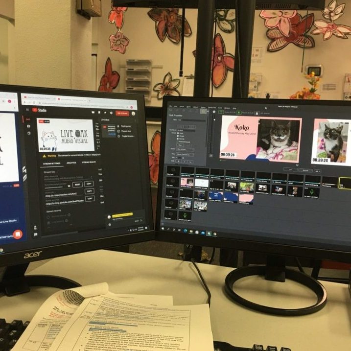 website Livestream